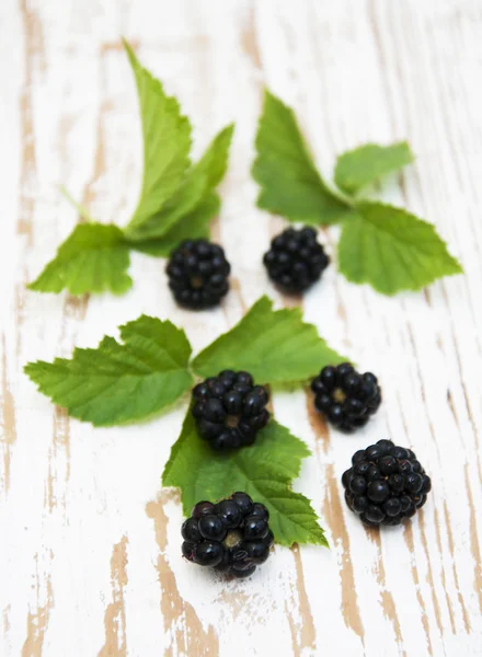 Brombeeren — Stockfoto